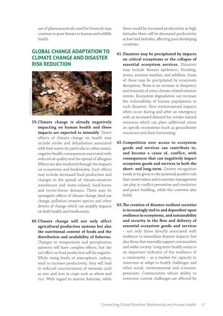 Connecting Global Priorities Biodiversity and Human Health