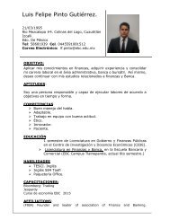 Curriculum Vitae Felipe final1 6