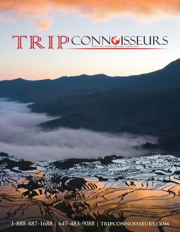 Trip Connoisseurs Profile - Full Version English