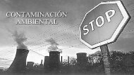 Contaminación ambiental (2)