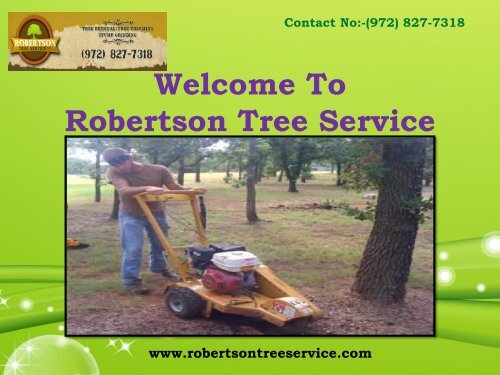 Stump Grinding Service in Dallas|Robertson Tree Service