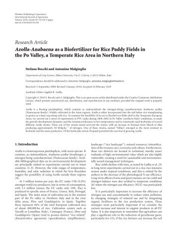 Bocchi und Malgioglio - 2010 - Azolla-Anabaena as a Biofertilizer for Rice Paddy 