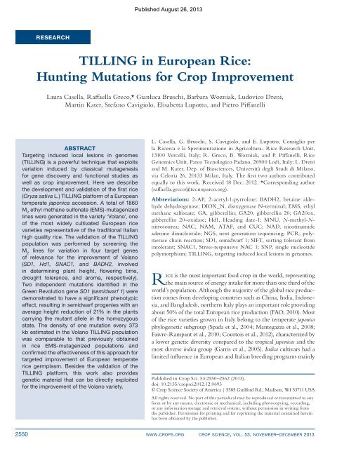 Casella et al. - 2013 - TILLING in European Rice Hunting Mutations for Cr