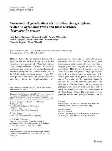 Faivre-Rampant et al. - 2010 - Assessment of genetic diversity in Italian rice ge