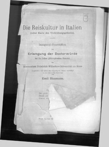 Husmann - 1893 - Die Reiskultur in Italien (nebst Karte des Verbrei