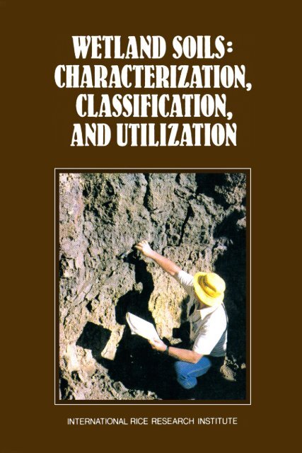 Irri 1985 Wetland Soils Characterization Classification A