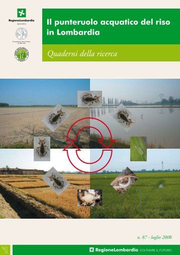 Lupi et al. - 2008 - Il punteruolo acquatico del riso in Lombardia