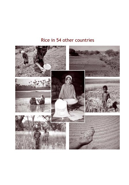 Maclean et al. - 2002 - Rice almanac source book for the most important e