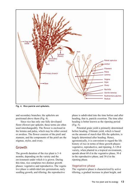 Maclean et al. - 2002 - Rice almanac source book for the most important e