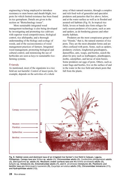 Maclean et al. - 2002 - Rice almanac source book for the most important e