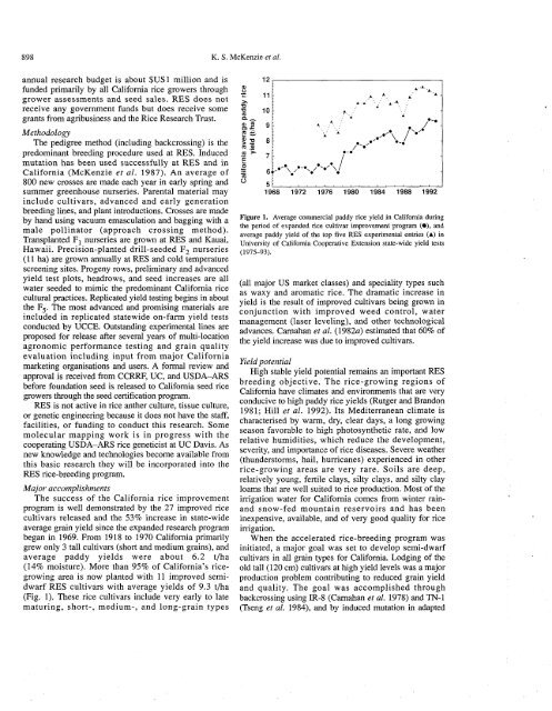 McKenzie et al. - 1994 - Breeding improved rice cultivars for temperate reg