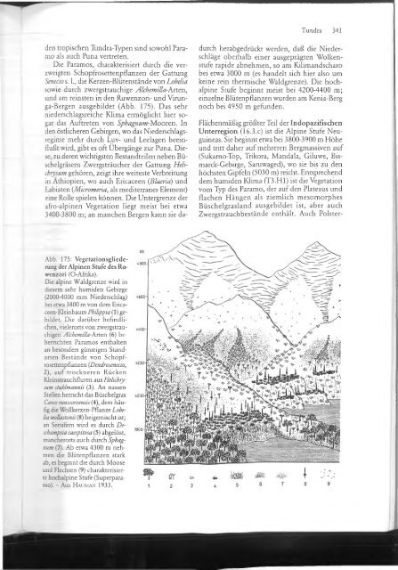 Schroeder - 1998 - Lehrbuch der Pflanzengeographie