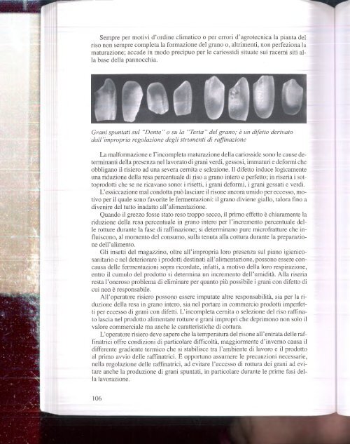 Tinarelli - 2008 - Le antiche pilerie italiane e lindustria risiera 
