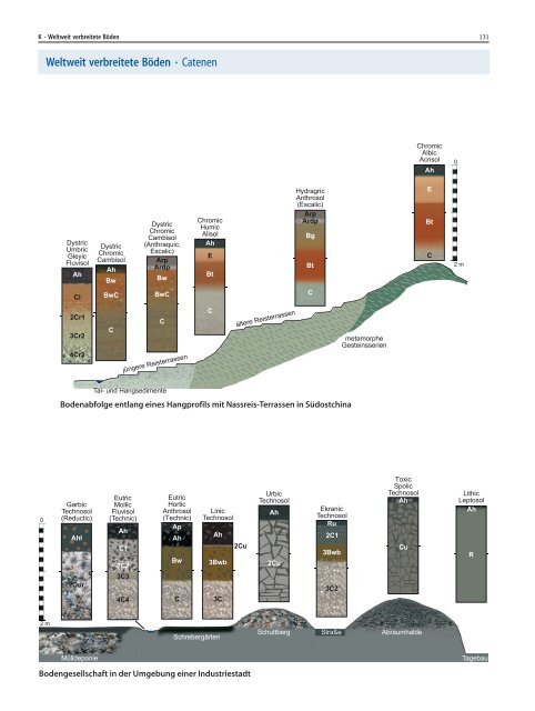 Zech et al. - 2014 - BÃ¶den der Welt  ein Bildatlas