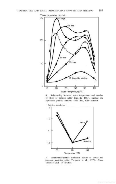 Vergara - 1976 - Physiological and morphological adaptability of ri