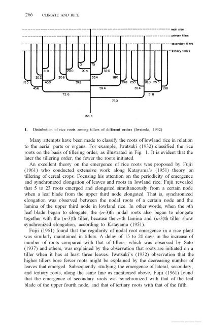 Vergara - 1976 - Physiological and morphological adaptability of ri