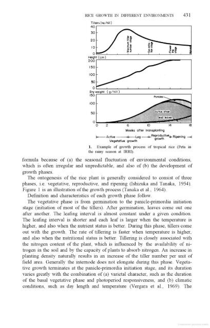 Vergara - 1976 - Physiological and morphological adaptability of ri