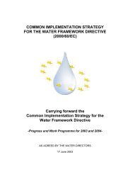WATECO - 2003 - Common implementation strategy for the Water Frame