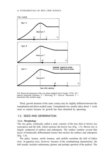 Yoshida - 1981 - Fundamentals of Rice Crop Science