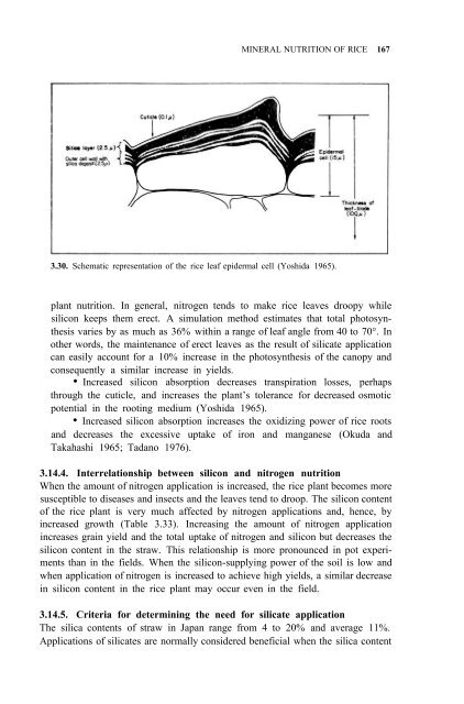 Yoshida - 1981 - Fundamentals of Rice Crop Science