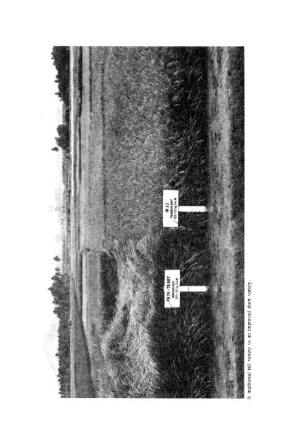 Yoshida - 1981 - Fundamentals of Rice Crop Science