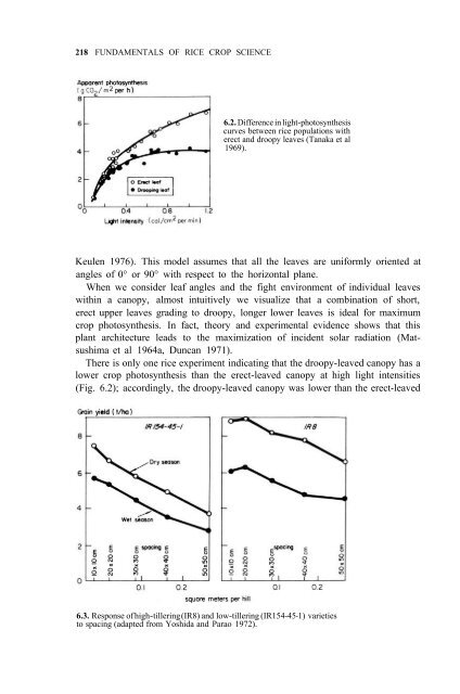 Yoshida - 1981 - Fundamentals of Rice Crop Science