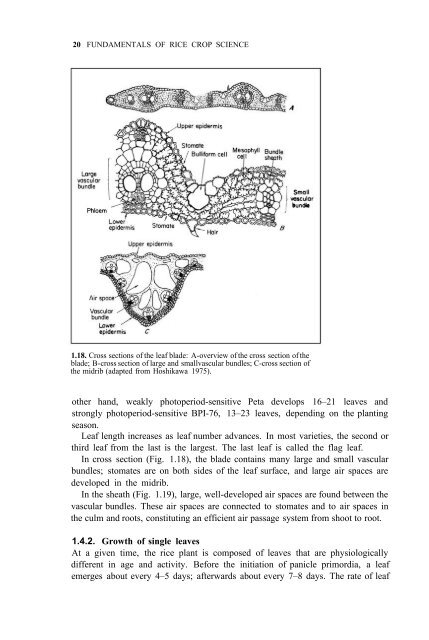 Yoshida - 1981 - Fundamentals of Rice Crop Science