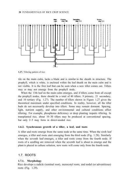 Yoshida - 1981 - Fundamentals of Rice Crop Science