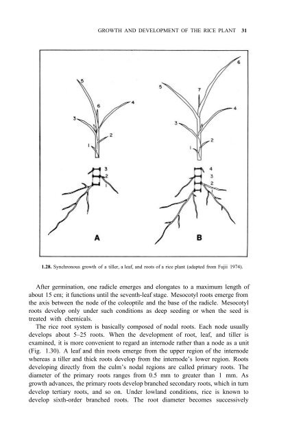 Yoshida - 1981 - Fundamentals of Rice Crop Science