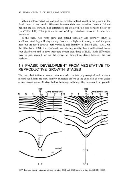 Yoshida - 1981 - Fundamentals of Rice Crop Science