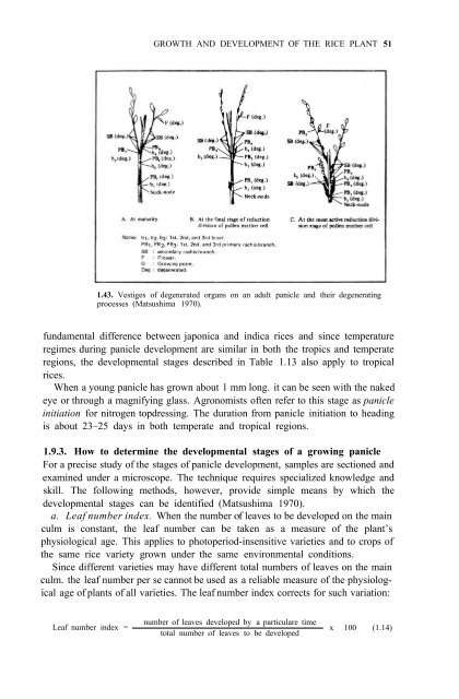 Yoshida - 1981 - Fundamentals of Rice Crop Science