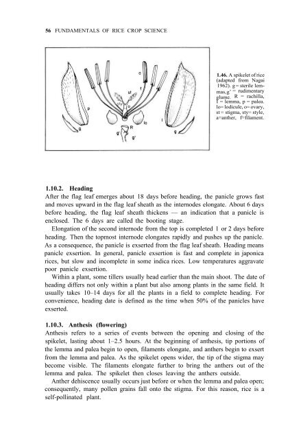 Yoshida - 1981 - Fundamentals of Rice Crop Science