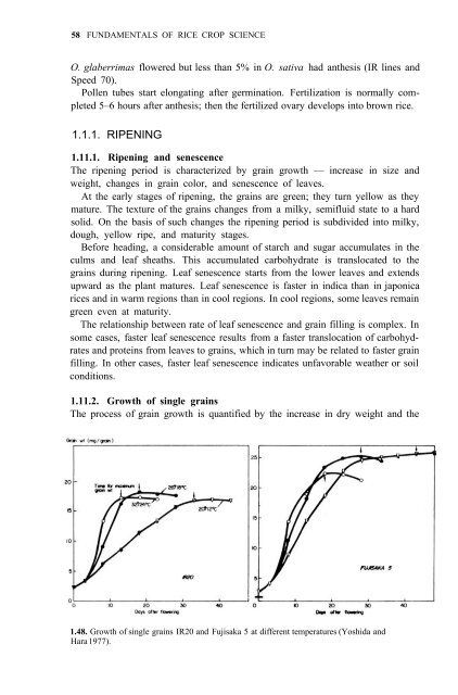 Yoshida - 1981 - Fundamentals of Rice Crop Science