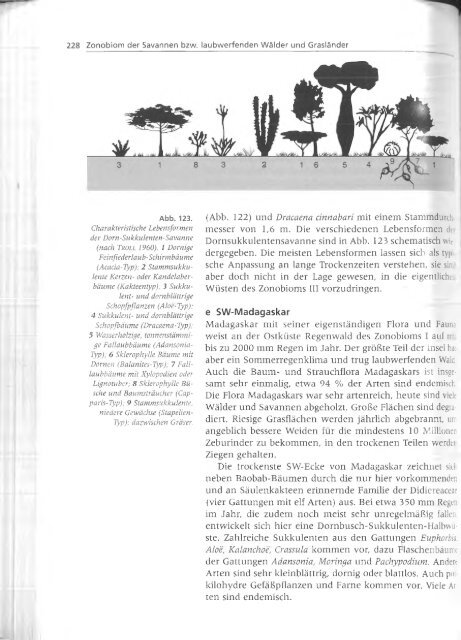 Walter und Breckle - 1999 - Vegetation und Klimazonen  GrundriÃŸ der globalen 