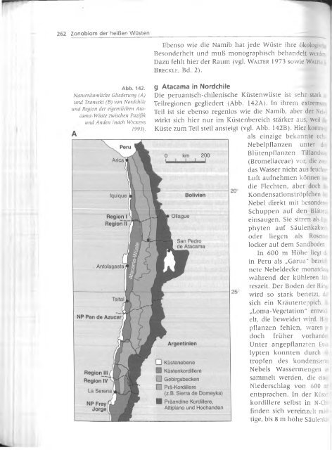 Walter und Breckle - 1999 - Vegetation und Klimazonen  GrundriÃŸ der globalen 