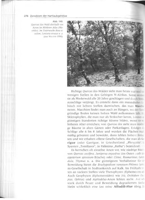 Walter und Breckle - 1999 - Vegetation und Klimazonen  GrundriÃŸ der globalen 