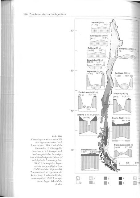 Walter und Breckle - 1999 - Vegetation und Klimazonen  GrundriÃŸ der globalen 