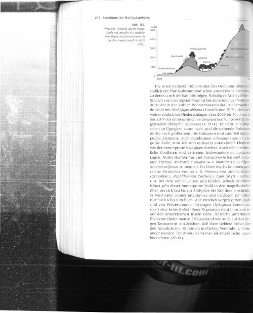 Walter und Breckle - 1999 - Vegetation und Klimazonen  GrundriÃŸ der globalen 