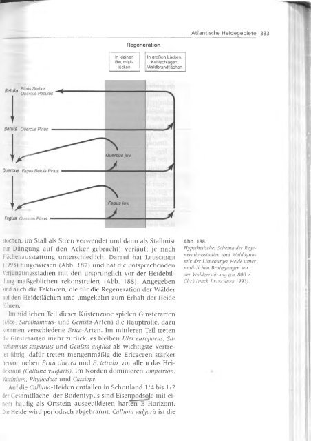 Walter und Breckle - 1999 - Vegetation und Klimazonen  GrundriÃŸ der globalen 