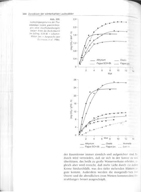 Walter und Breckle - 1999 - Vegetation und Klimazonen  GrundriÃŸ der globalen 