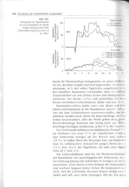 Walter und Breckle - 1999 - Vegetation und Klimazonen  GrundriÃŸ der globalen 