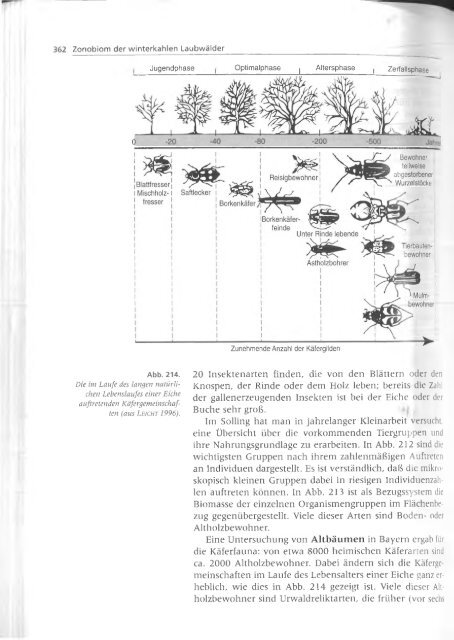 Walter und Breckle - 1999 - Vegetation und Klimazonen  GrundriÃŸ der globalen 