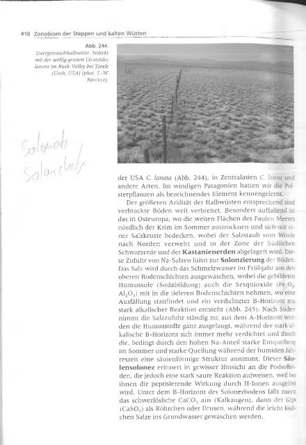 Walter und Breckle - 1999 - Vegetation und Klimazonen  GrundriÃŸ der globalen 