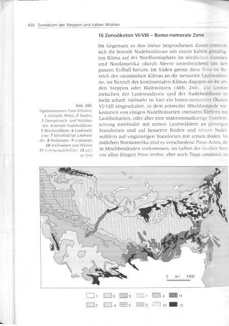 Walter und Breckle - 1999 - Vegetation und Klimazonen  GrundriÃŸ der globalen 