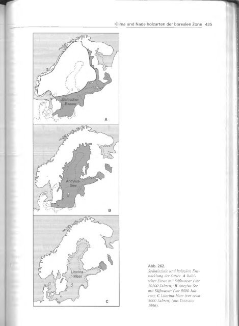 Walter und Breckle - 1999 - Vegetation und Klimazonen  GrundriÃŸ der globalen 