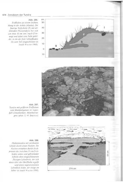 Walter und Breckle - 1999 - Vegetation und Klimazonen  GrundriÃŸ der globalen 