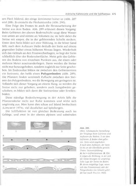 Walter und Breckle - 1999 - Vegetation und Klimazonen  GrundriÃŸ der globalen 