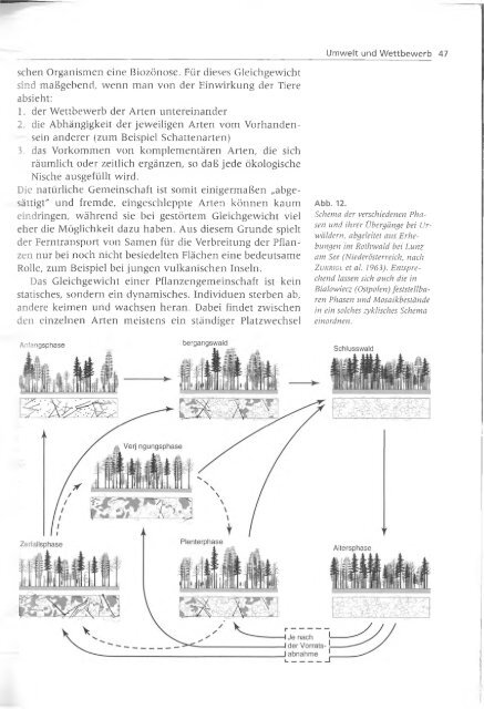 Walter und Breckle - 1999 - Vegetation und Klimazonen  GrundriÃŸ der globalen 