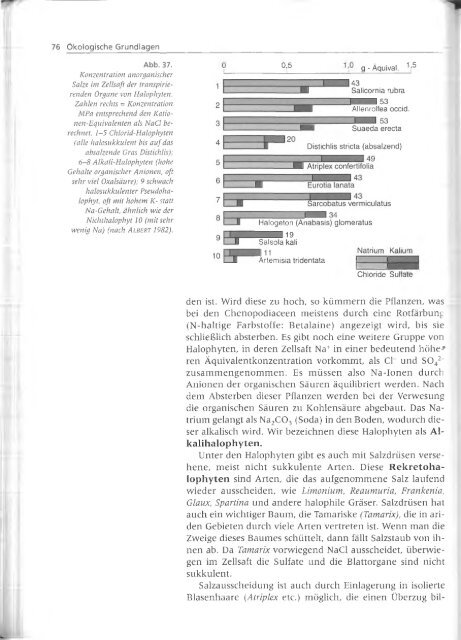 Walter und Breckle - 1999 - Vegetation und Klimazonen  GrundriÃŸ der globalen 