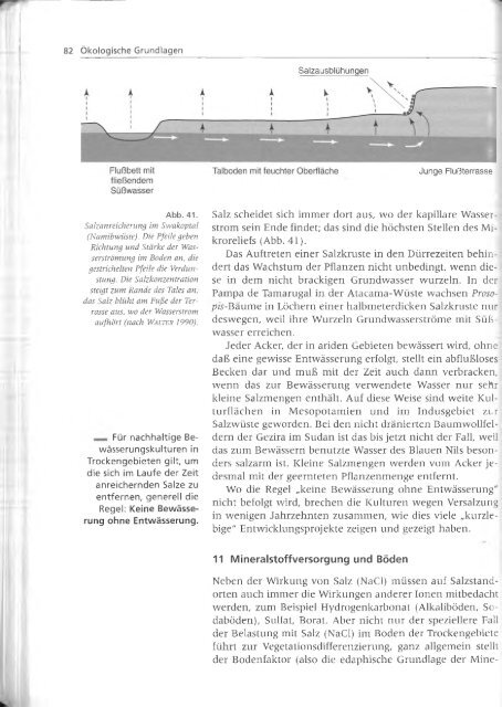 Walter und Breckle - 1999 - Vegetation und Klimazonen  GrundriÃŸ der globalen 